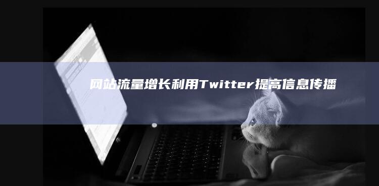 网站流量增长：利用Twitter提高信息传播速度 (网站流量增长的原因)