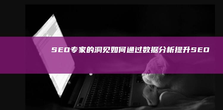 SEO专家的洞见：如何通过数据分析提升SEO效果 (seo专家是什么意思)